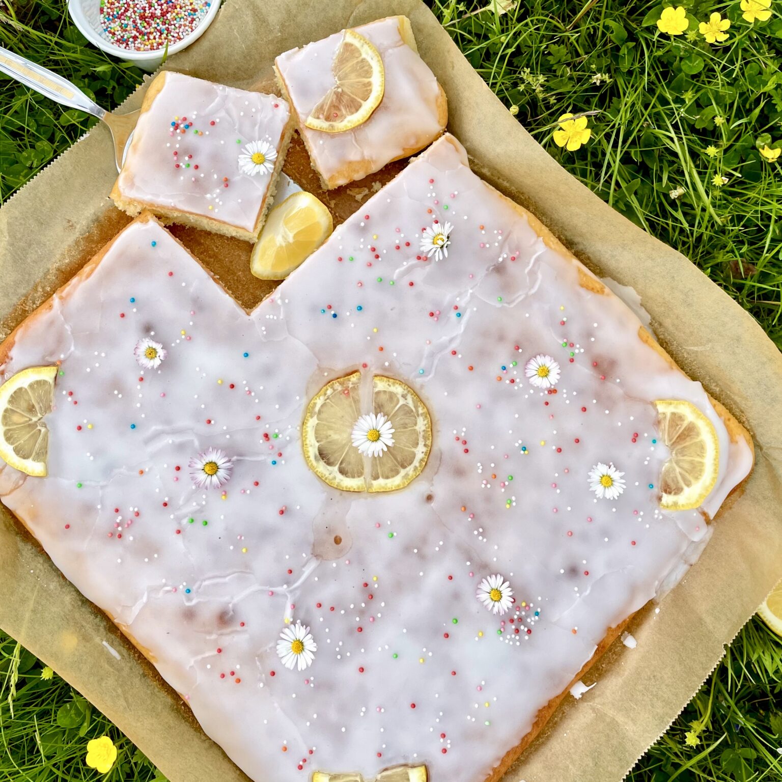 Zitronen-Blechkuchen mit Guss - Hunger auf Süßes